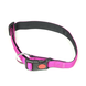 De-Tail Nylon halsband 25mm breed, 50-65cm lang