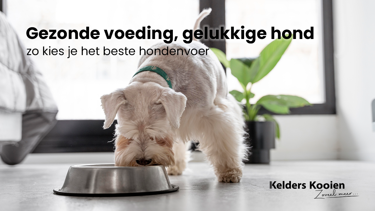 Gezonde voeding, gelukkige hond: zo kies je het beste hondenvoer