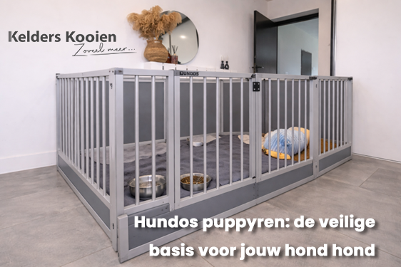 Hundos puppyren: dé veilige basis voor jouw hond, vanaf dag één