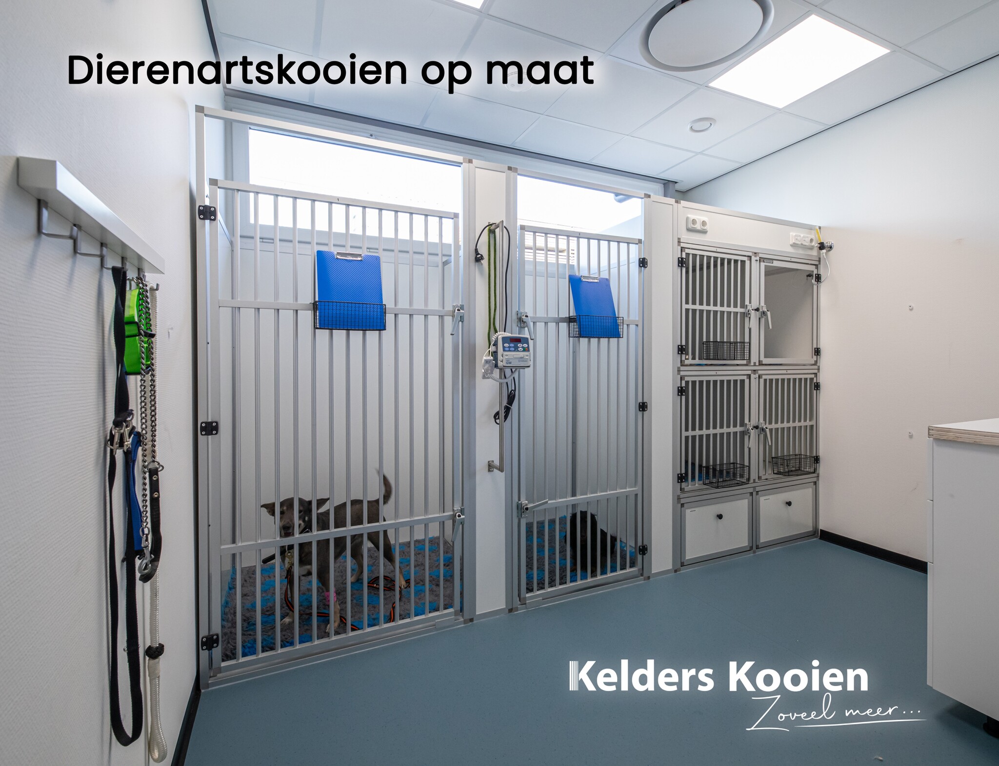 Dierenartskooien op maat: gemaakt voor dagelijks gebruik!