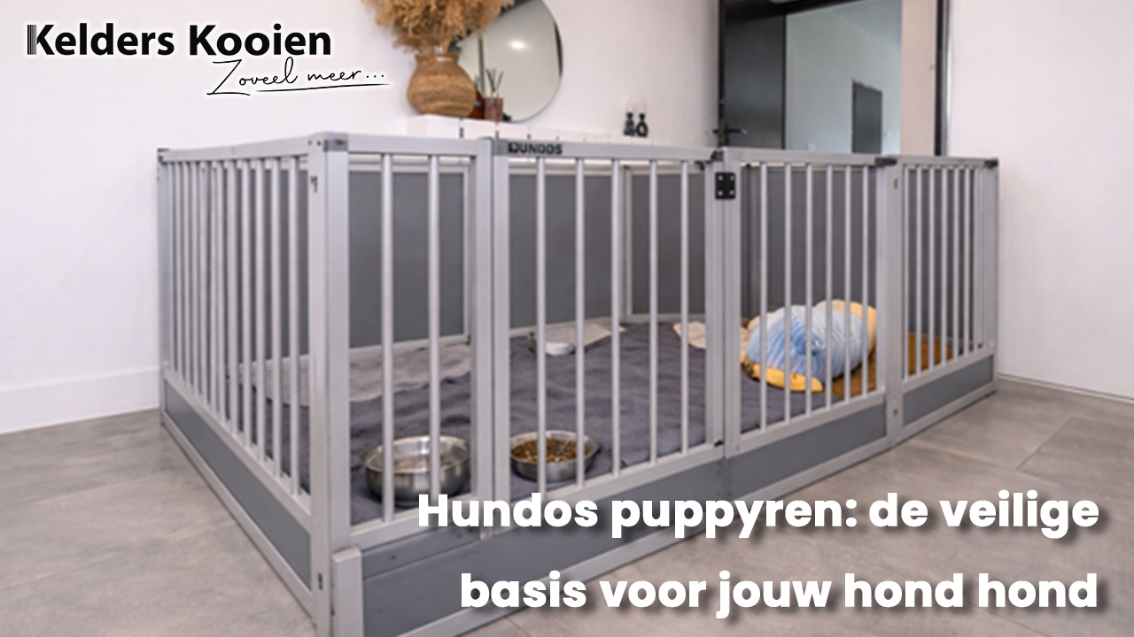 Hundos puppyren: dé veilige basis voor jouw hond, vanaf dag één