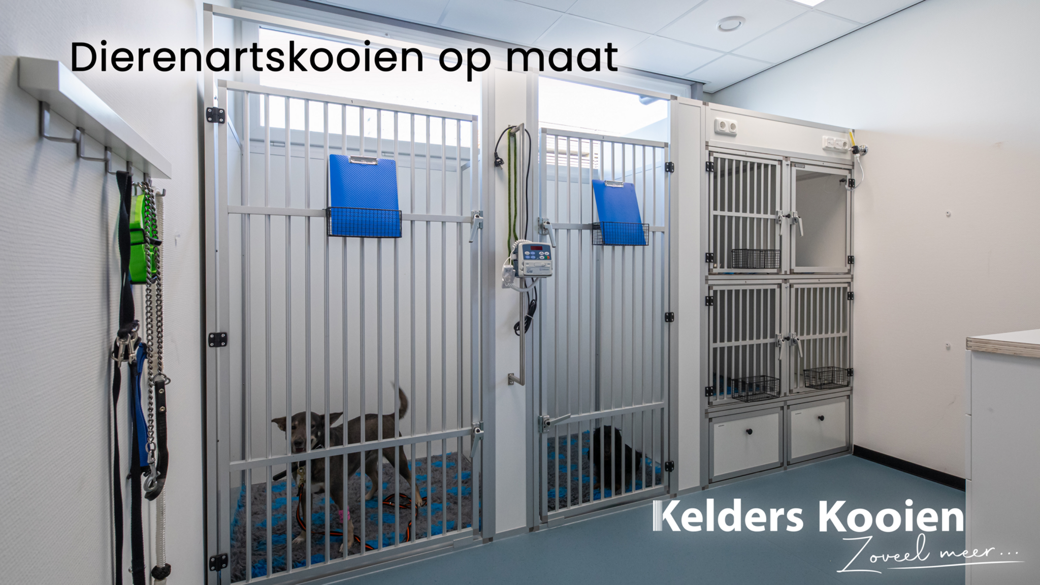 Dierenartskooien op maat: gemaakt voor dagelijks gebruik!