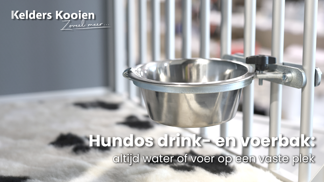 Hundos drink- en voerbak: altijd water of voer op een vaste plek
