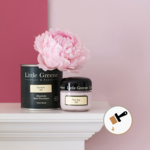 Little Greene Little Greene Absolute Matt Emulsion Sample Pot 60 ml