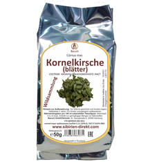 Kornelkirsche (Blätter)