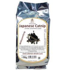 Японская кошачья мята