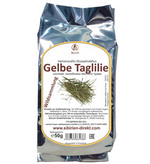 Gelbe Taglilie