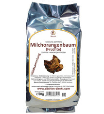 Milchorangenbaum (Früchte)