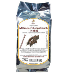 Mähnen-Erbsenstrauch (Triebe)