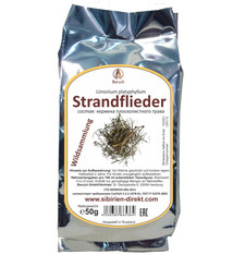 Strandflieder