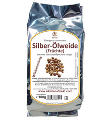 Silber-Ölweide (Früchte)