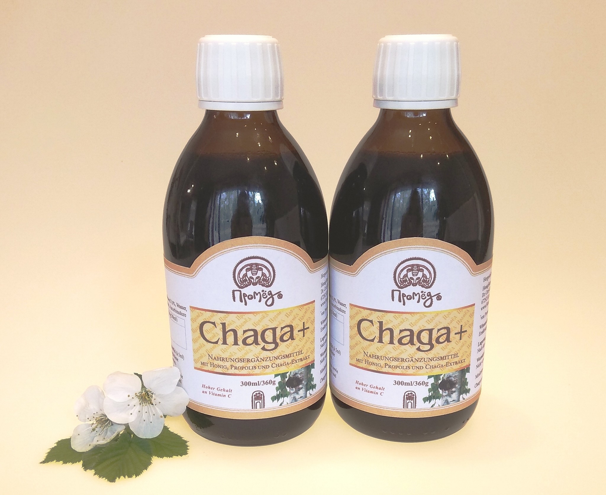 Chaga +