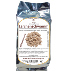 Lärchenschwamm