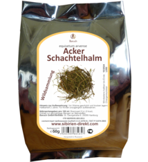 Acker-Schachtelhalm