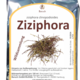 Ziziphora