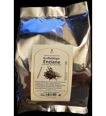 Крупнолистные горечавки