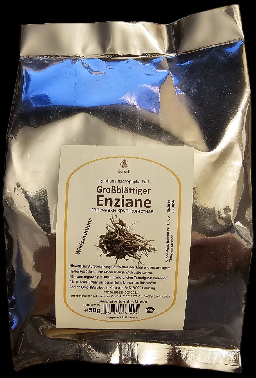 Großblättiger Enziane