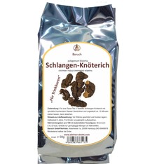 Schlangen-Knöterich