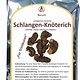 Schlangen-Knöterich