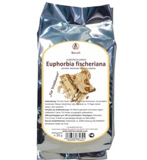 Euphorbia fischeriana 20 г (корень)