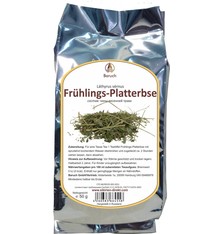 Frühlings-Platterbse