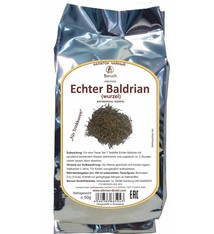 Echter Baldrian