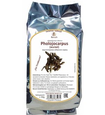 Phlojodicarpus sibiricus