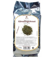 Gänsefingerkraut