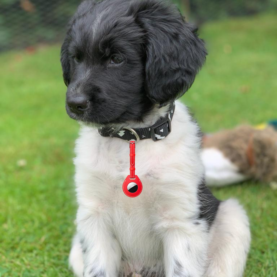 JVS Products Hoesje geschikt voor AirTag - Riem - Houder - Leer - Case - Bescherming - Hanger - Rood