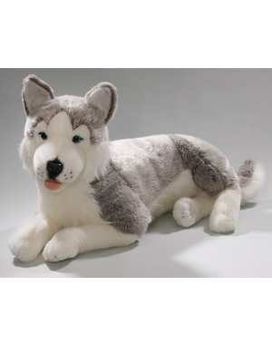 BIColini Pluche Husky 60 cm