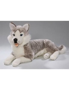 BIColini Liggende Husky 42cm