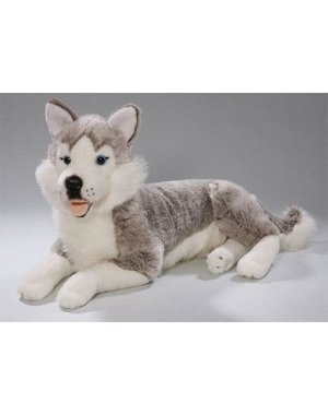 BIColini Liggende Husky 42cm
