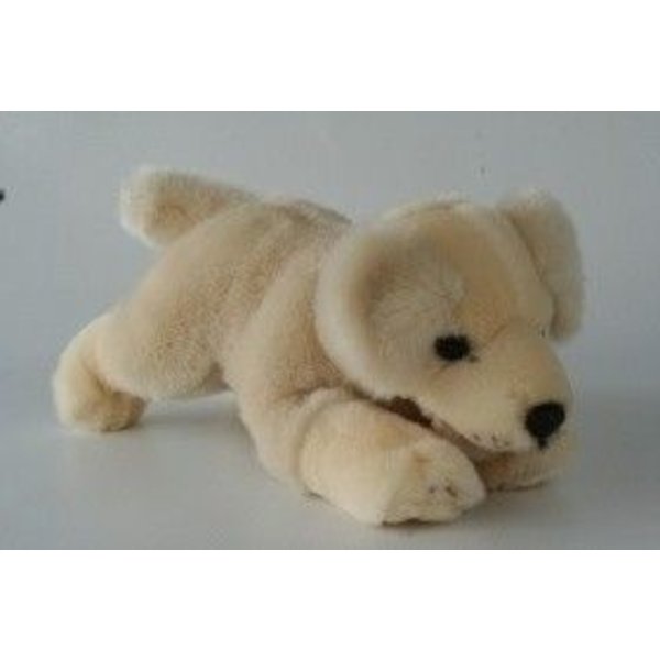 BIColini Golden Retriever pup 29 cm