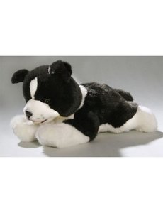 BIColini Border Collie Pup 29cm