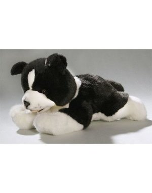 BIColini Border Collie Pup 29cm