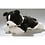 BIColini Border Collie Pup 29cm