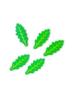 Mamamemo Ruccola sla 5 blaadjes