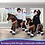 PonyCycle Pony chocoladebruin met handrem en geluid (3-5 jaar)