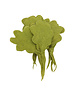 Papoose Toys Mini Lettuce/3