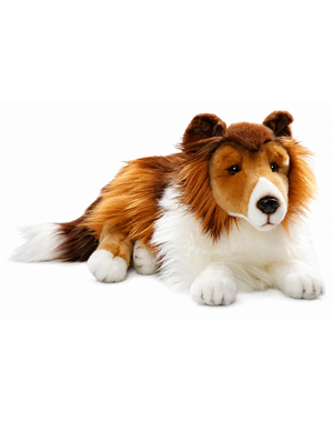 BIColini Schotse Collie 45cm