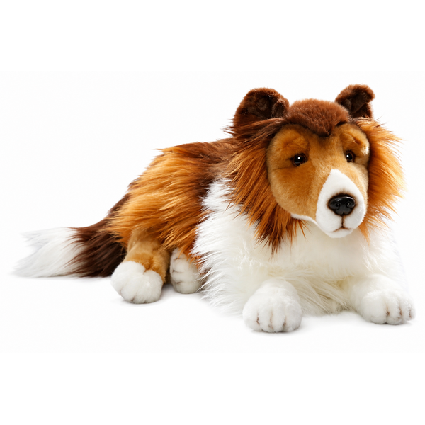 BIColini Schotse Collie 45cm