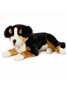 BIColini Liggende Berner Sennen 60 cm