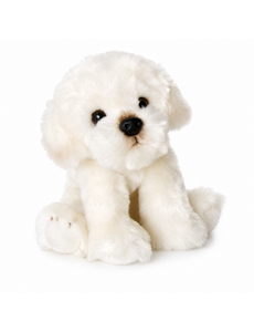 BIColini Zittende Bichon Frisé Pup 24 cm
