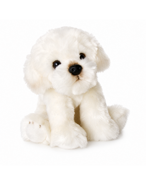 BIColini Zittende Bichon Frisé Pup 24 cm