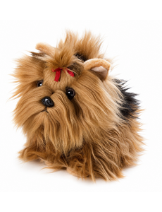 BIColini Zittende Yorkshire Terrier 22cm