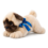 BIColini Liggende Mops Pup 26cm