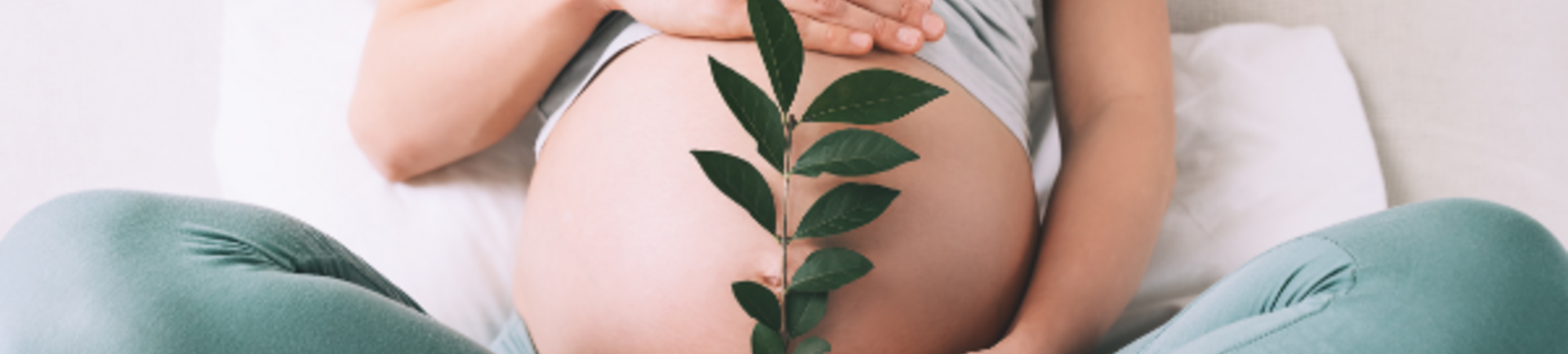 Sostanze che alterano gli ormoni durante la gravidanza