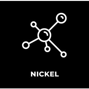 Nessun Nichel Nessun Nichel