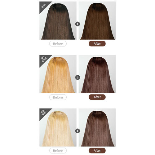 Pudding Hair Color Brussels Chocolat Pudding Hair Color Brussels Chocolat