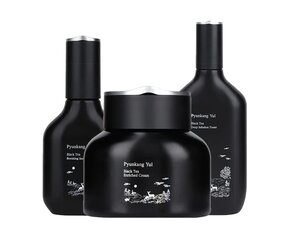 新品 PYUNKANGYUL Black Tea Line Gift Set Pyunkang yul] Black Tea Line Gift Set (3 items) US Seller